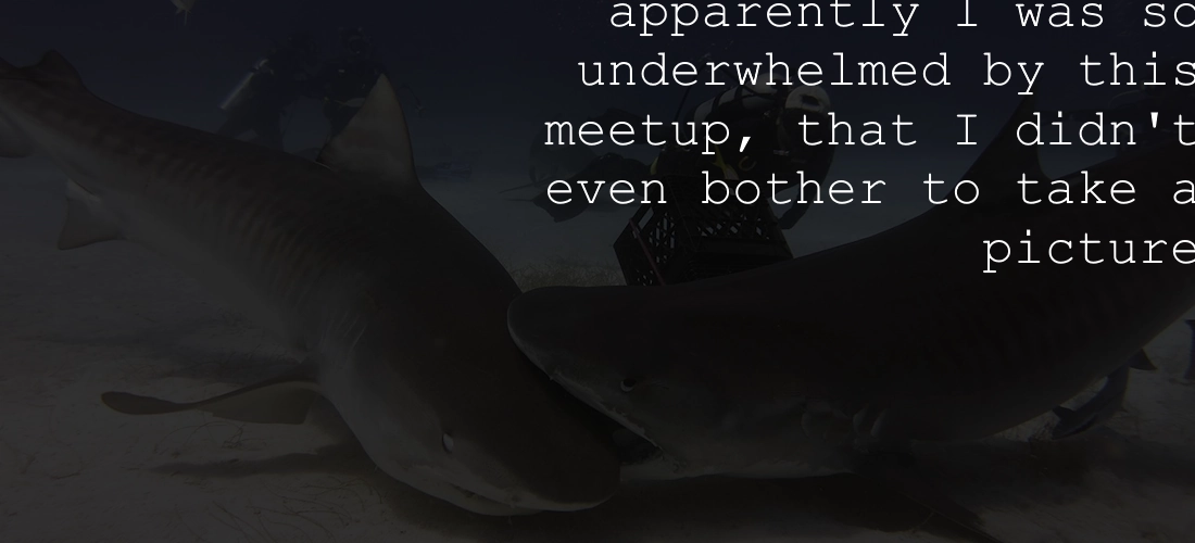 An underwater picture of one shark gently biting another shark, with text in the top right stating that apparently I was so underwhelmed by this meetup, that I didn't even bother to take a picture