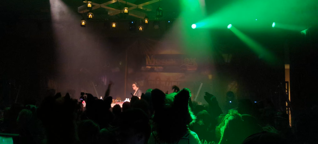 A picture of mine, of a rave at Megaplex 2024, a furry convention